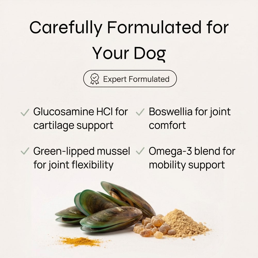 Carefully formulated for your dog