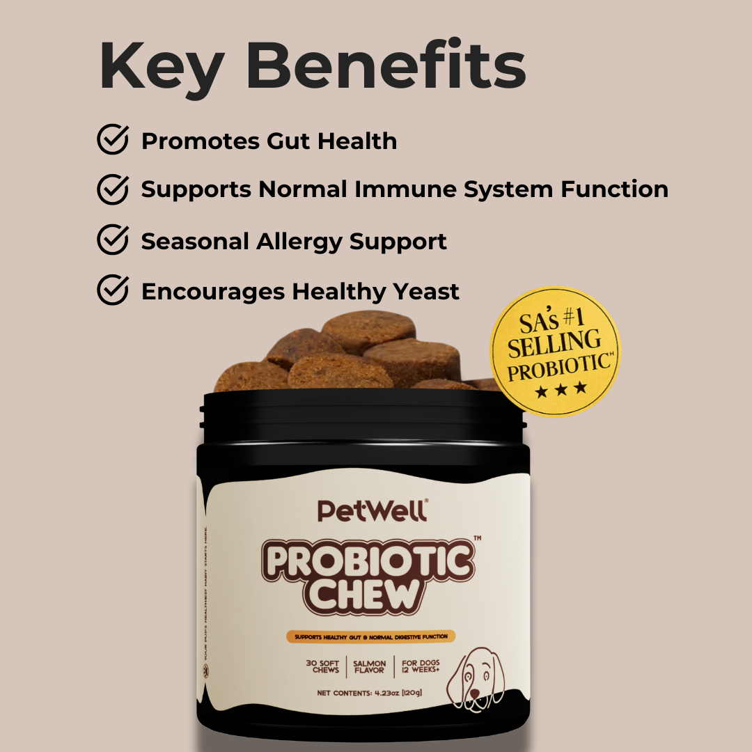 Probiotic Chew