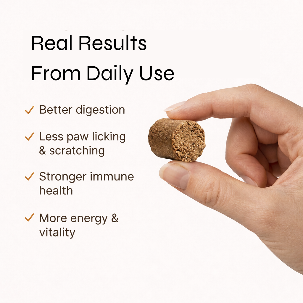 Probiotic Chews