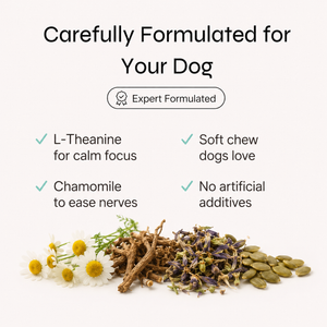Calming Chews