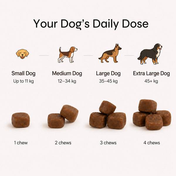 Calming Chews