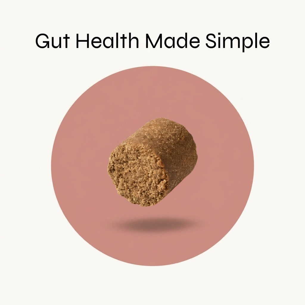 Probiotic Chews