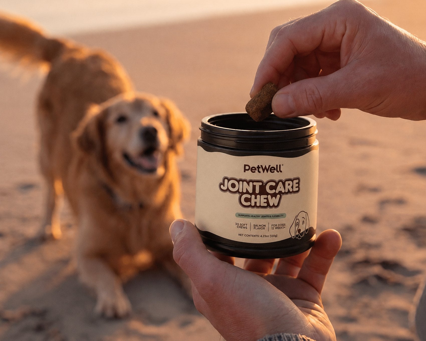 PetWell Joint Care at the beach