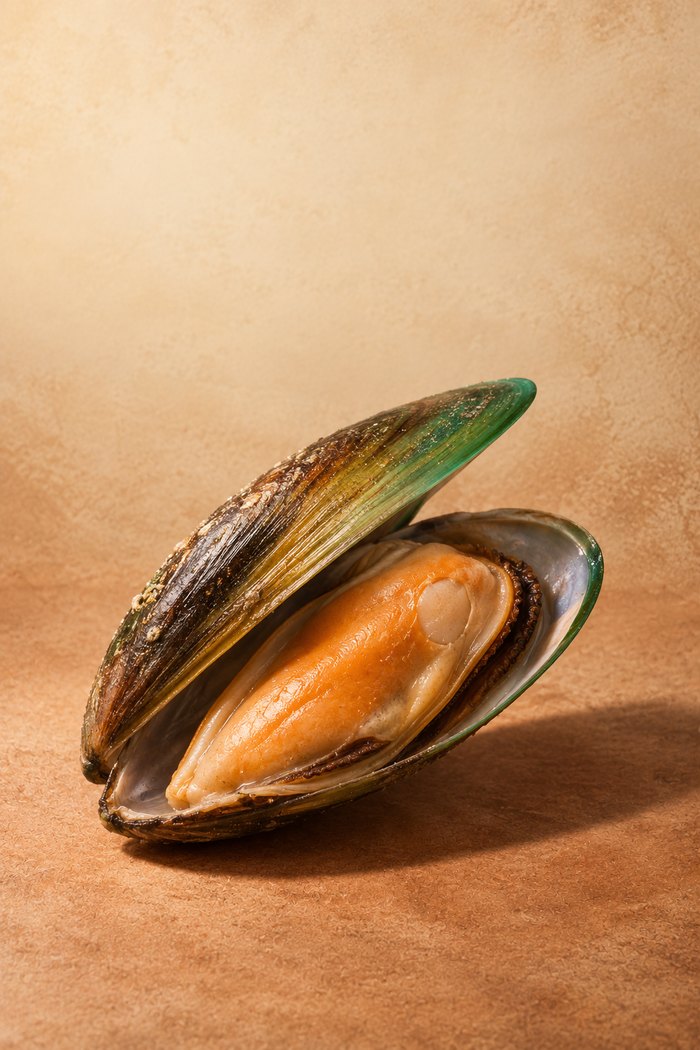 Green-lipped mussel