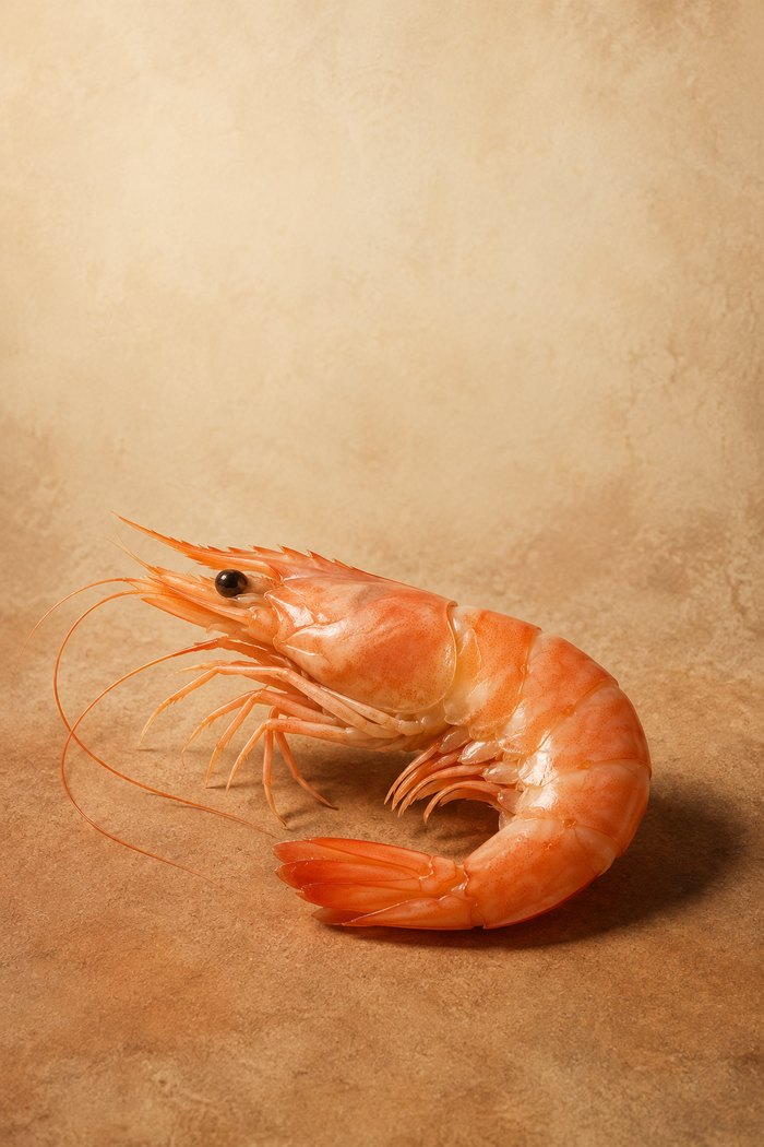 Shellfish — the source of glucosamine