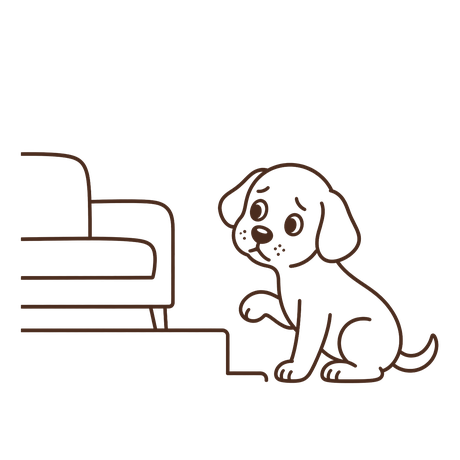 A hesitant puppy