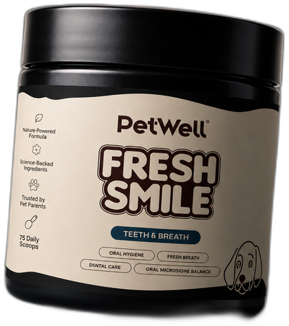 Fresh Smile